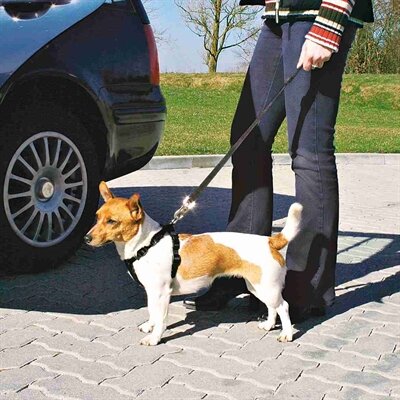 TRIXIE HONDENTUIG AUTO INCLUSIEF GORDEL ZWART 20-50 CM