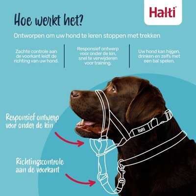 COMPANY OF ANIMALS HALTI HEADCOLLAR ZWART NEKOMVANG 40-54 CM NEUSOMTREK 24-36 CM