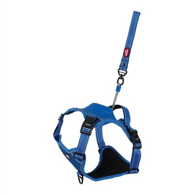 ZOLUX EASYRIDE HONDENTUIG XL 73-94 cm 55-77 KG BLAUW