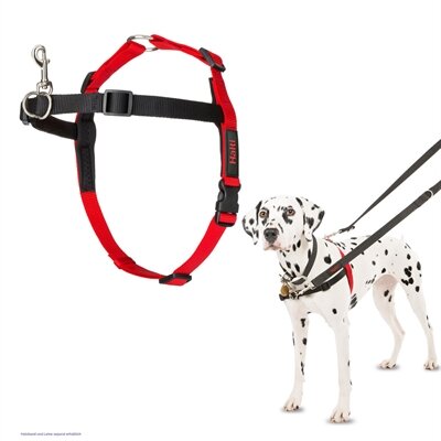 HALTI HARNESS FRONT CONTROL ZWART  M/58 &ndash; 86 cm