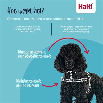 HALTI HARNESS FRONT CONTROL ZWART  M/58 &ndash; 86 cm