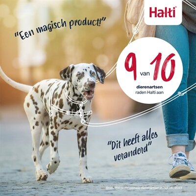 HALTI HARNESS FRONT CONTROL ZWART  M/58 &ndash; 86 cm