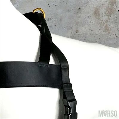 MORSO NORWEGIAN HONDENTUIG GERECYCLED GOLD CAVIAR GOUD 41 - 56 X 38 CM