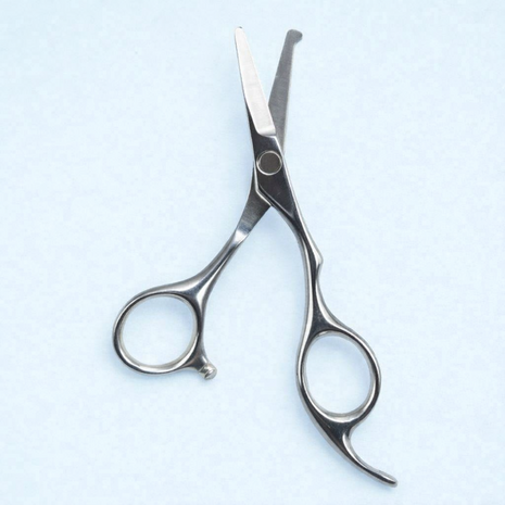 TRIXIE PROFESSIONELE GEZICHT-EN POTENSCHAAR RVS 13CM