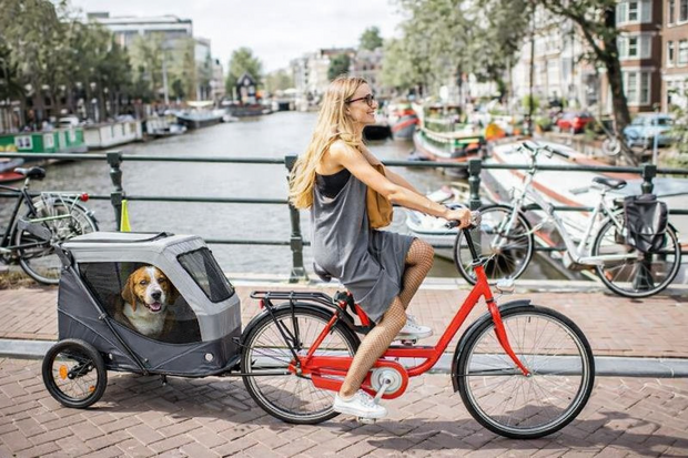 TRIXIE FIETSKAR OPVOUWBAAR SNELVOUW FUNCTIE TOT 45KG GRIJS 87,5X93/150X97 CM