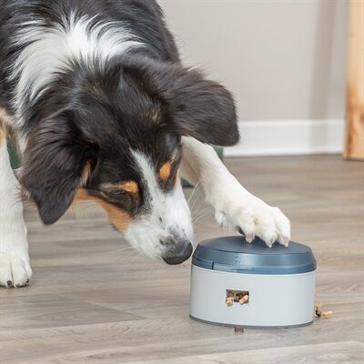 TRIXIE DOG ACTIVITY BUZZER KUNSTSTOF 14X14X9,5 CM