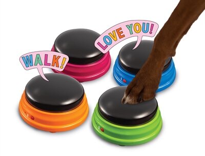 HUNGER FOR WORDS TALKING PET STARTER SET 19,5 CM