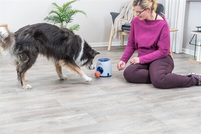 TRIXIE DOG ACTIVITY STRATEGIESPEL BALL&amp;TREAT LICHTGRIJS  BLAUW 17X17X18 CM BAL 6 CM