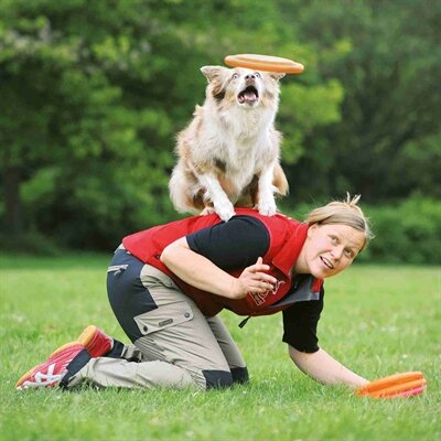 TRIXIE DOG DISC KUNSTSTOF GESCHIKT VOOR WEDSTRIJDEN ASSORTI
