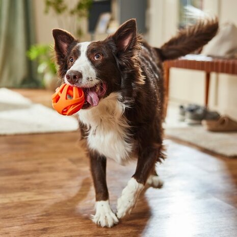 CHUCKIT AIR FETCH BAL MEDIUM ORANJE 6 CM