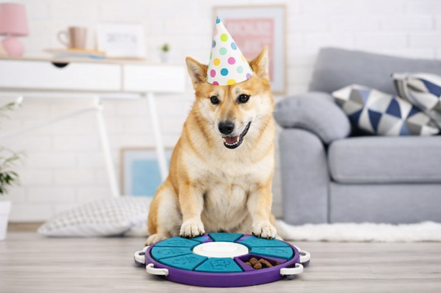 NINA OTTOSSON DOG TWISTER PAARS  BLAUW 31,5X26 CM