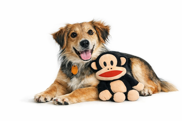 PAUL FRANK PLUCHE AAP JULIUS 32 CM
