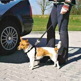 TRIXIE HONDENTUIG AUTO INCLUSIEF GORDEL ZWART  50-70 CM