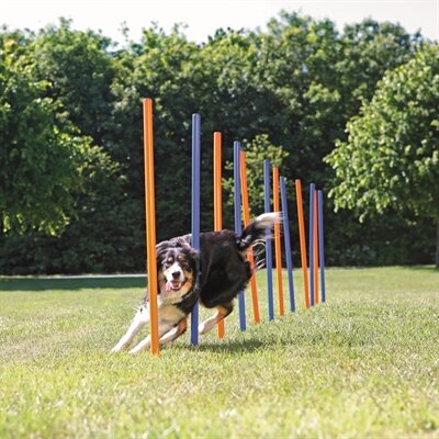TRIXIE DOG ACTIVITY AGILITY SLALOM STOKKEN BLAUW / ORANJE 115X3 CM 12 ST