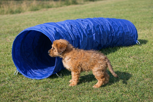 TRIXIE DOG ACTIVITY AGILITY BASIS TUNNEL BLAUW 60 CMX5 MTR